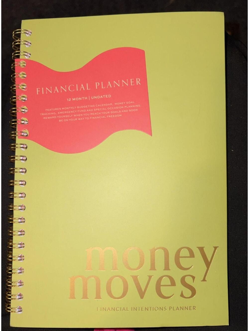 Love & June Money Moves Financial Planner 12 Months ￼